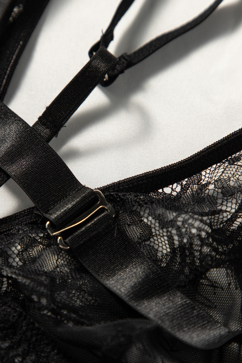 Paeltega Pits-Teddy - Image 10