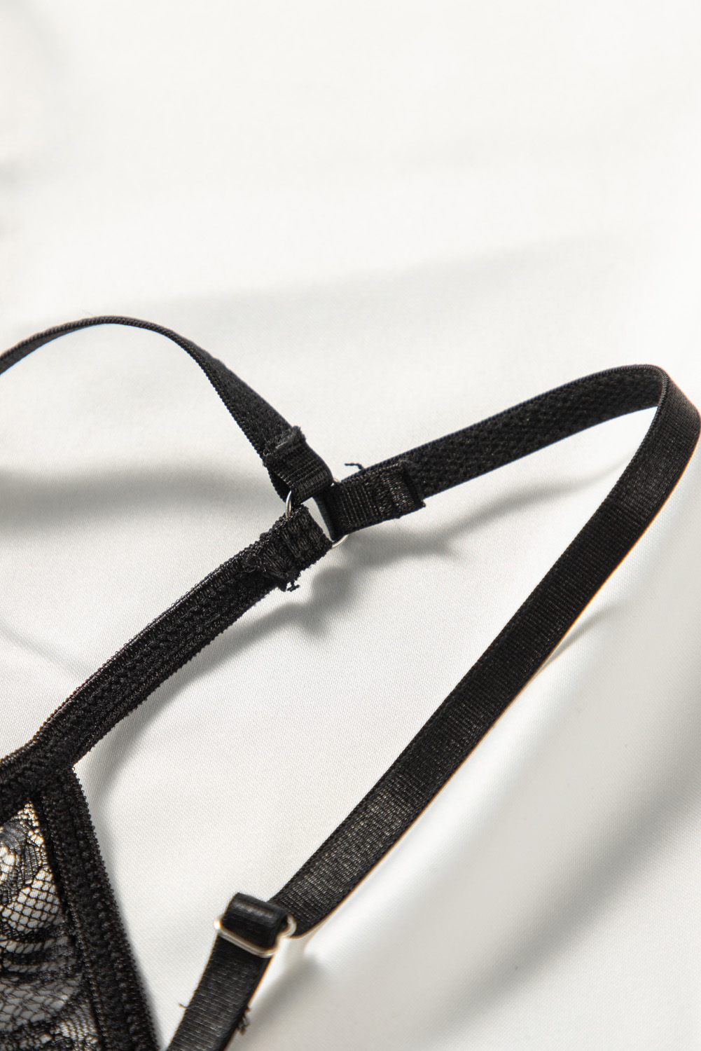 Paeltega Pits-Teddy - Image 6