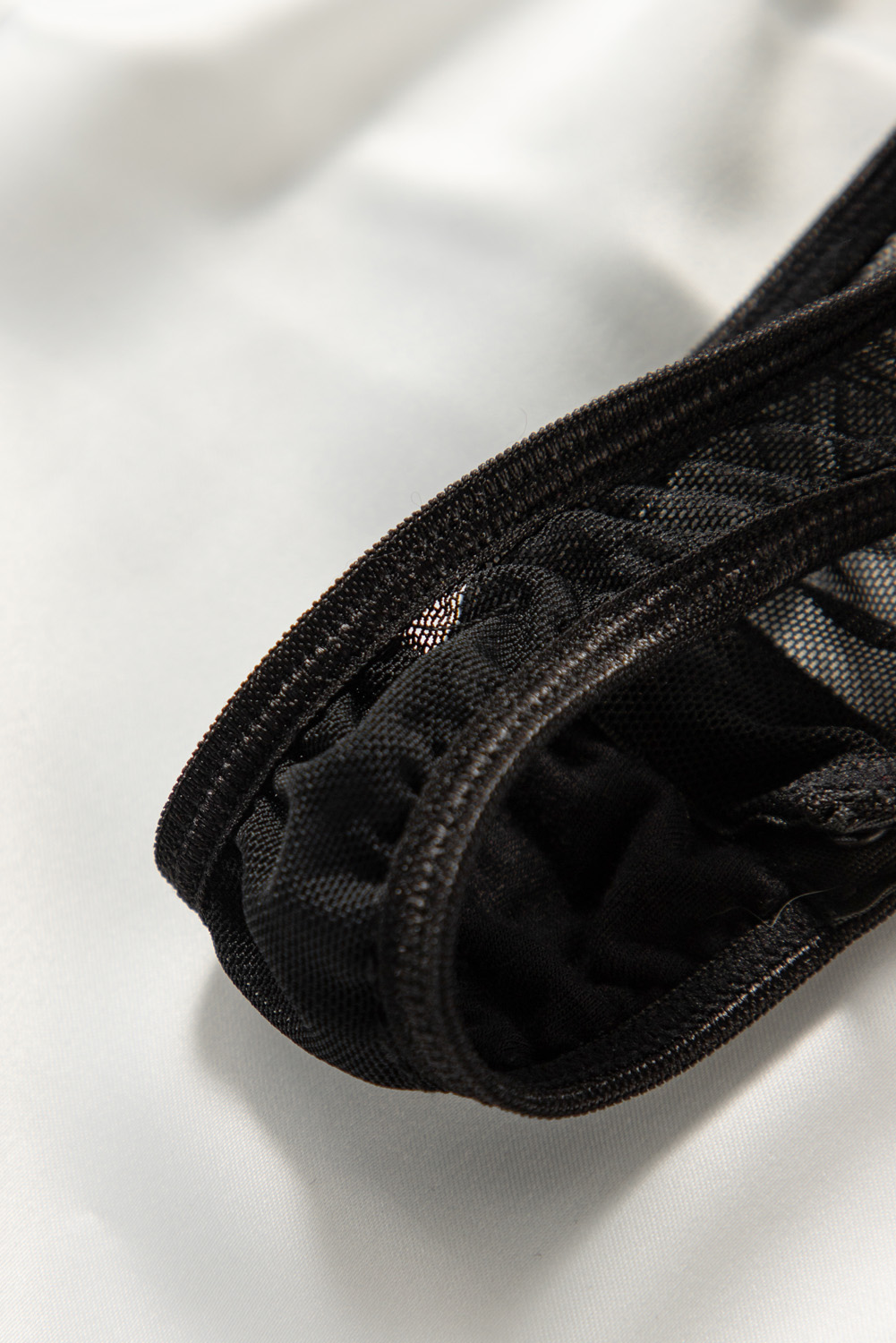 Paeltega Pits-Teddy - Image 7