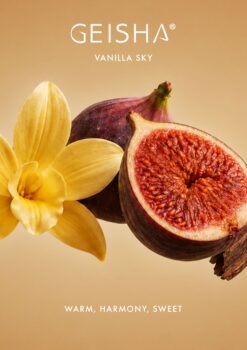 Sensual Massage Candle 145 ml - Vanilje - Pilt 3